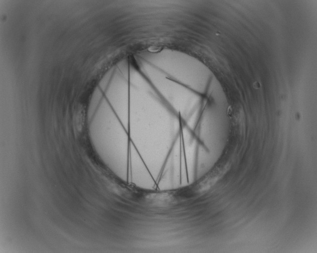 X0000078270133200612011729