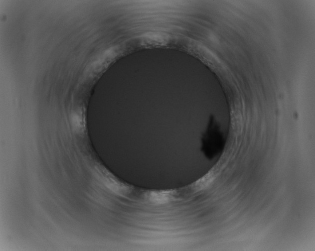 X0000078270134200612011729