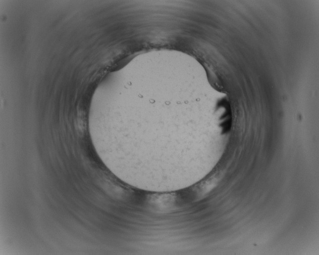 X0000078270135200612011729