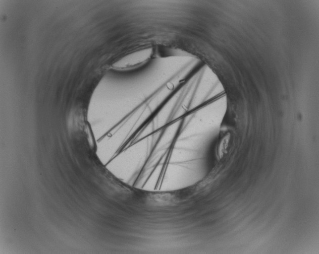 X0000078270137200612011729