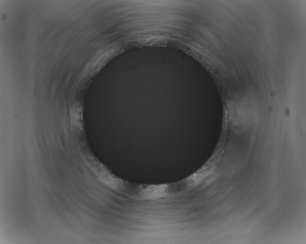 X0000078270138200612011729