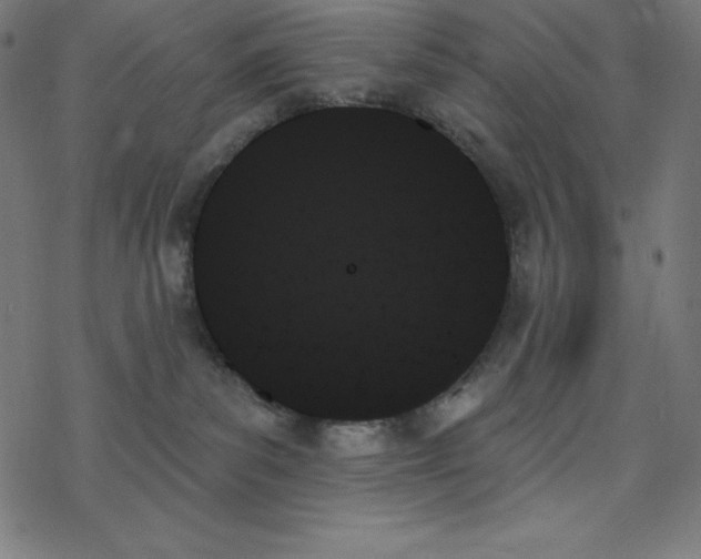 X0000078270139200612011729