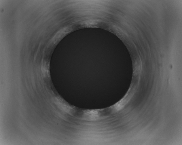 X0000078270140200612011729