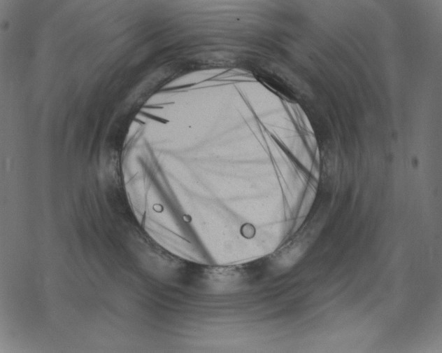 X0000078270141200612011729