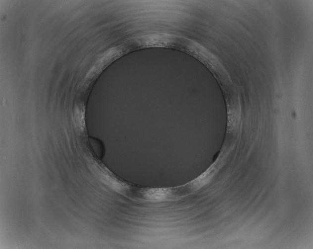 X0000078270142200612011729