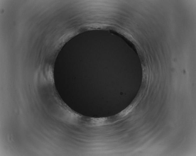 X0000078270143200612011729