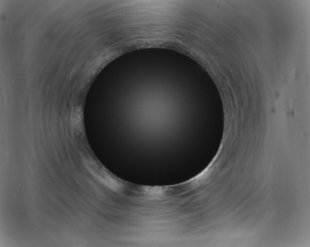 X0000078270144200612011729