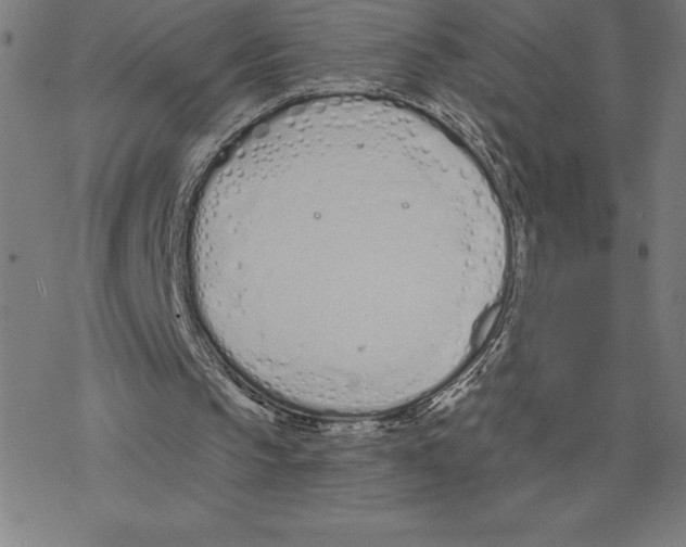 X0000078270145200612011728