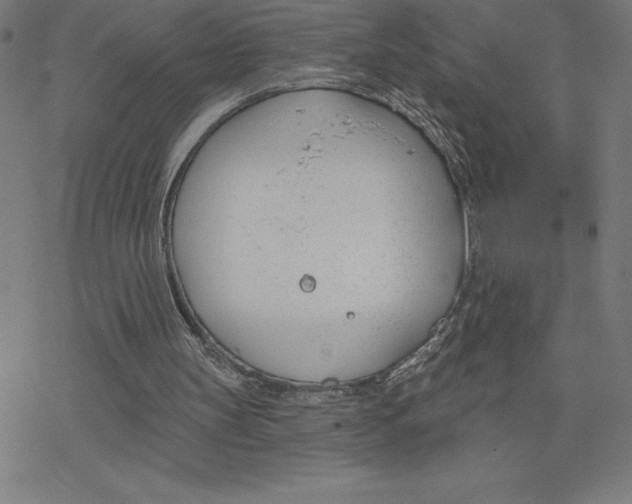 X0000078270147200612011728