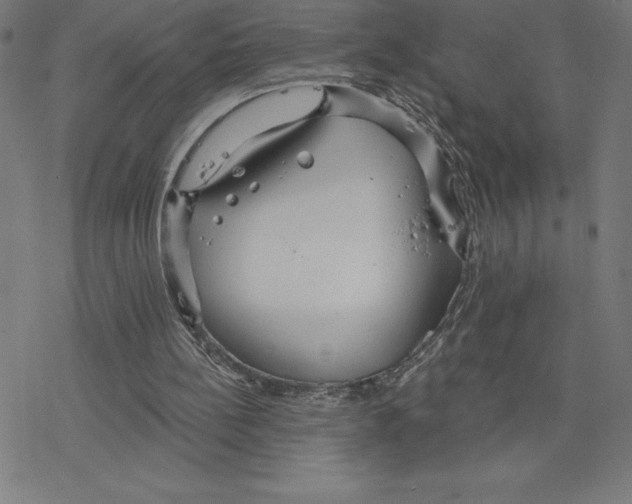 X0000078270148200612011728