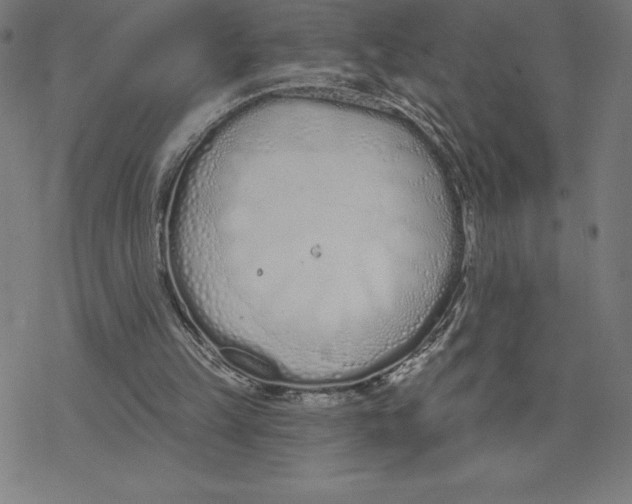 X0000078270149200612011728