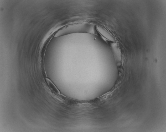 X0000078270150200612011728