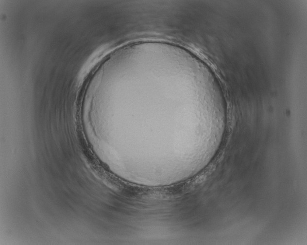 X0000078270151200612011728