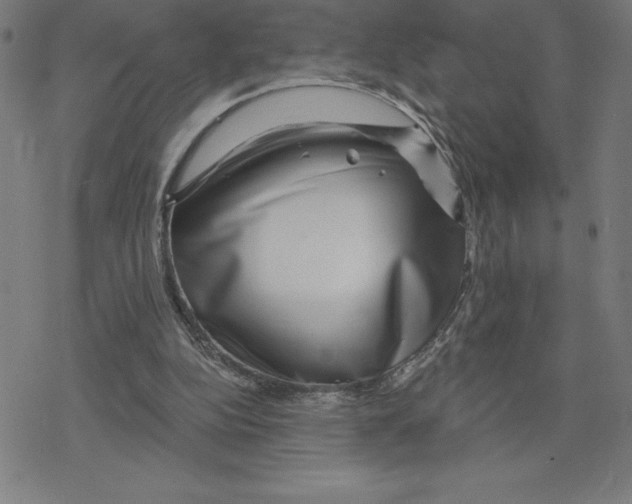 X0000078270152200612011728