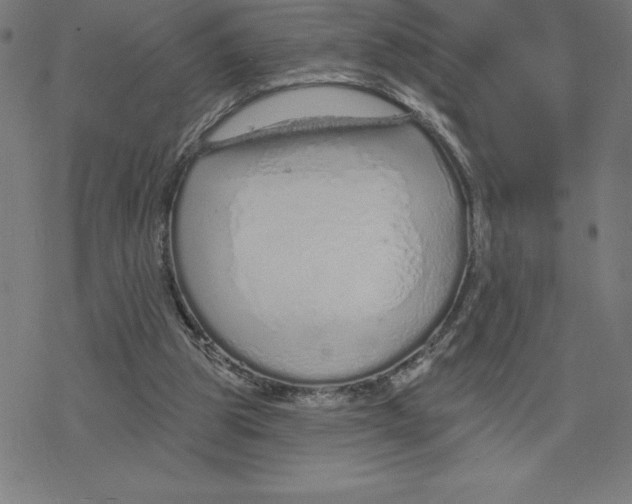 X0000078270153200612011728