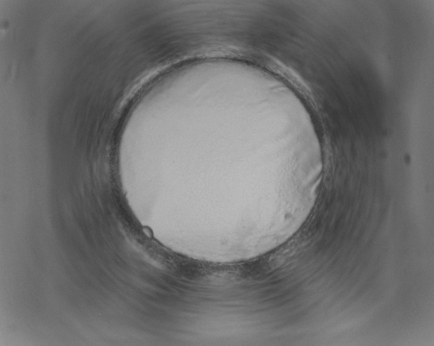 X0000078270155200612011728