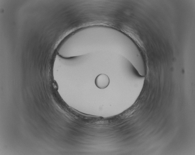 X0000078270156200612011728