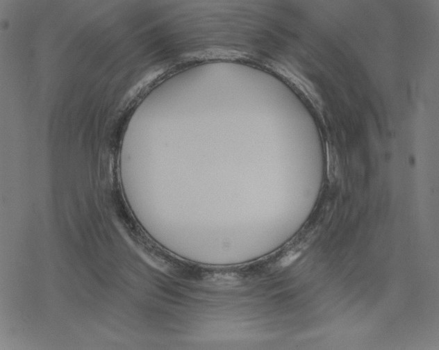 X0000078270157200612011728