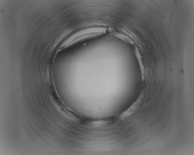 X0000078270158200612011728