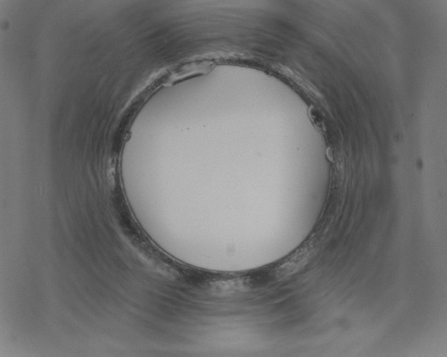 X0000078270160200612011728