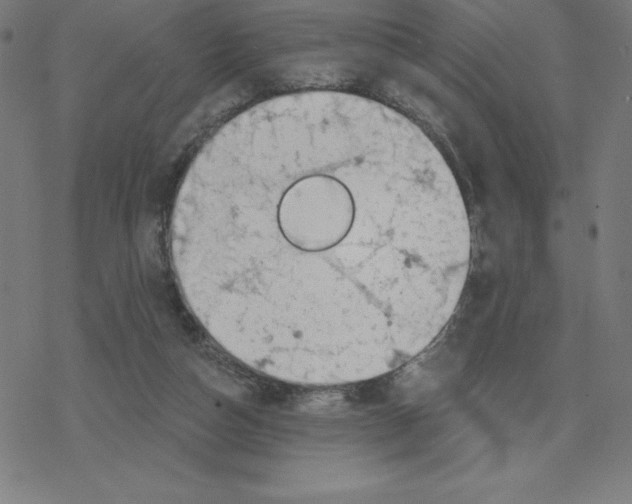 X0000078270162200612011728