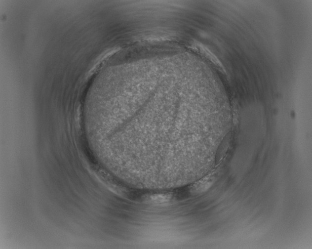 X0000078270163200612011728