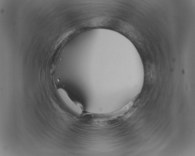 X0000078270164200612011728