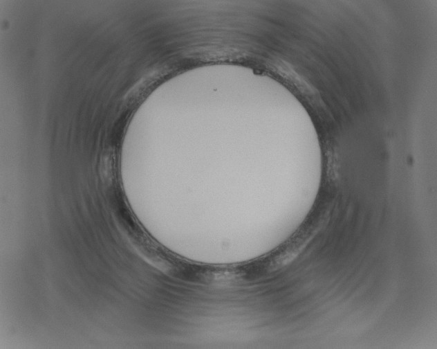 X0000078270165200612011728