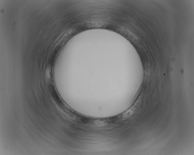 X0000078270166200612011728