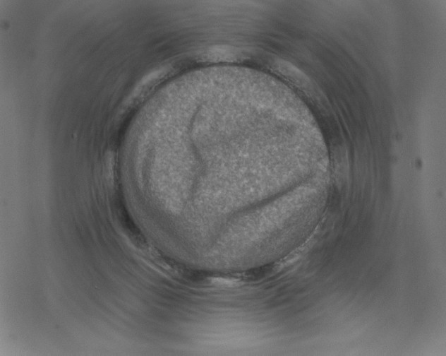 X0000078270167200612011728