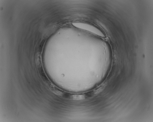 X0000078270169200612011728