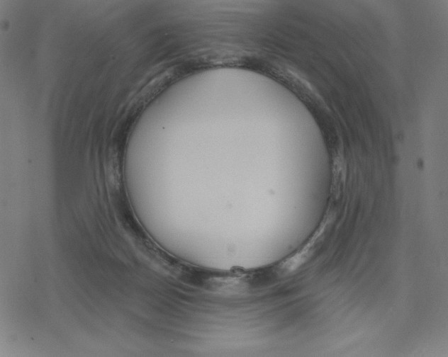 X0000078270170200612011728