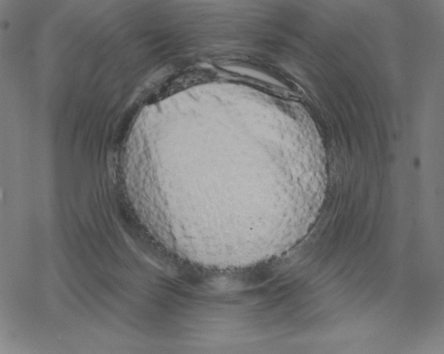 X0000078270171200612011728