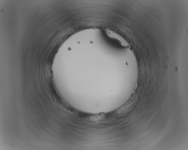 X0000078270172200612011728