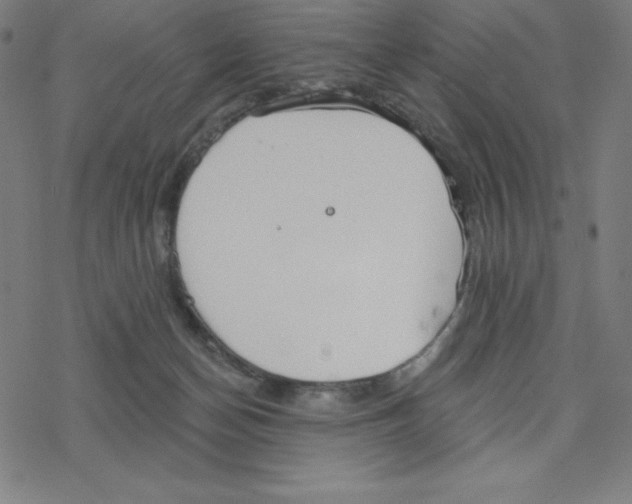 X0000078270174200612011728