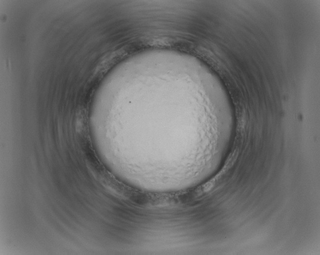 X0000078270175200612011728