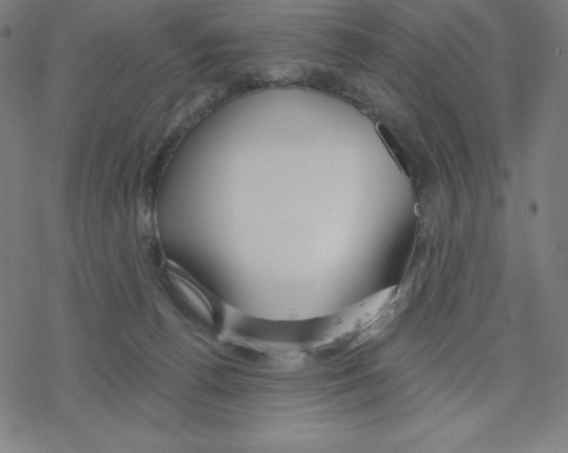 X0000078270176200612011728