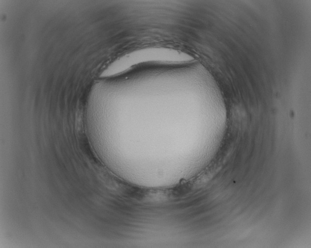 X0000078270177200612011728