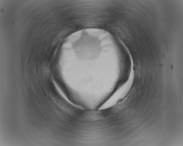 X0000078270179200612011728