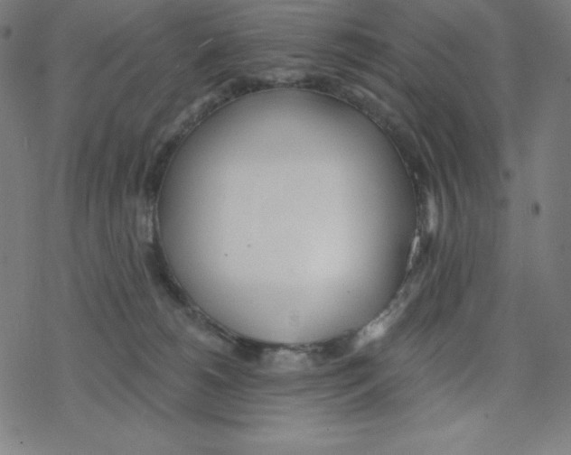 X0000078270180200612011728