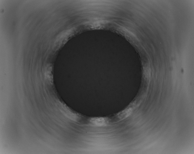 X0000078270181200612011728