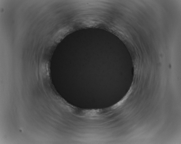 X0000078270182200612011728