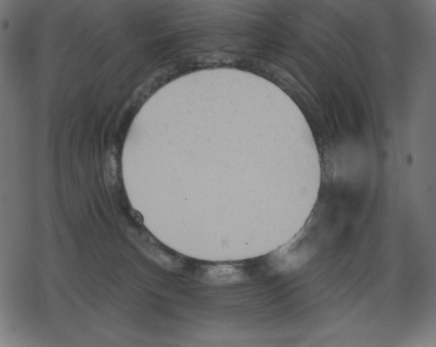 X0000078270183200612011728