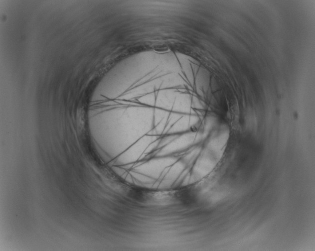 X0000078270184200612011728