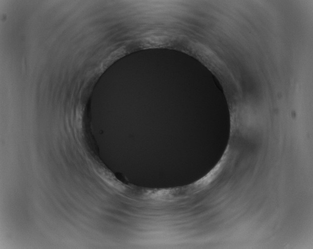 X0000078270186200612011728