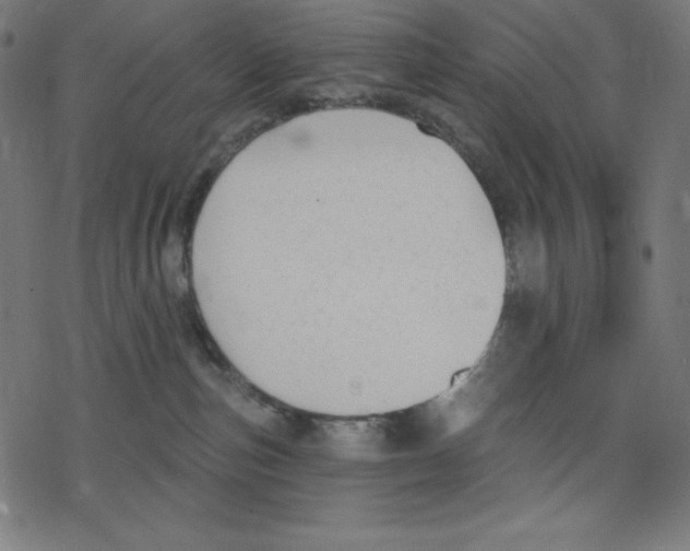 X0000078270187200612011728