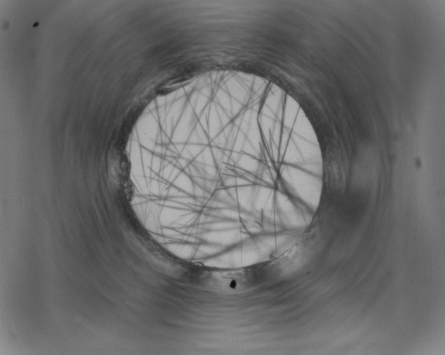 X0000078270188200612011728