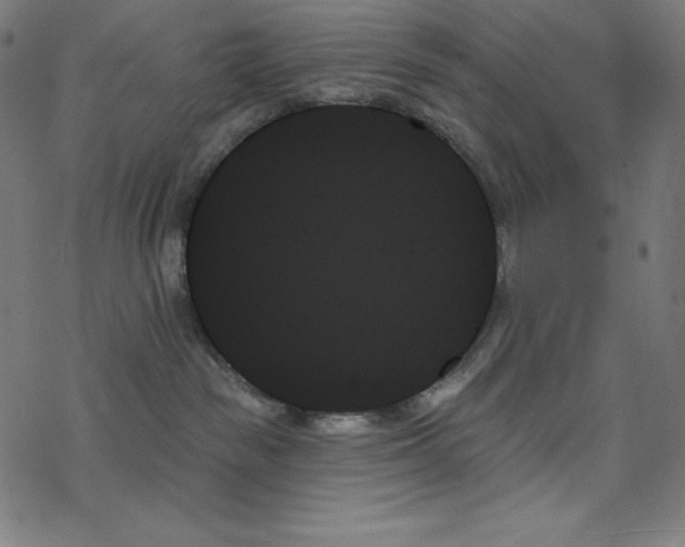 X0000078270189200612011728