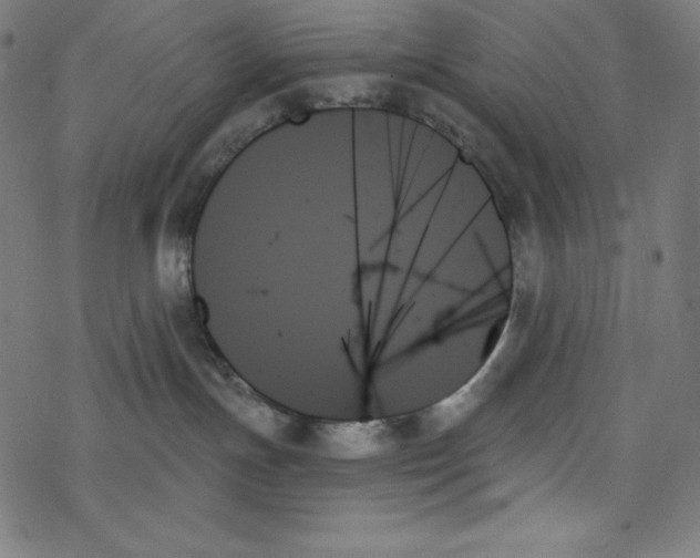 X0000078270191200612011728