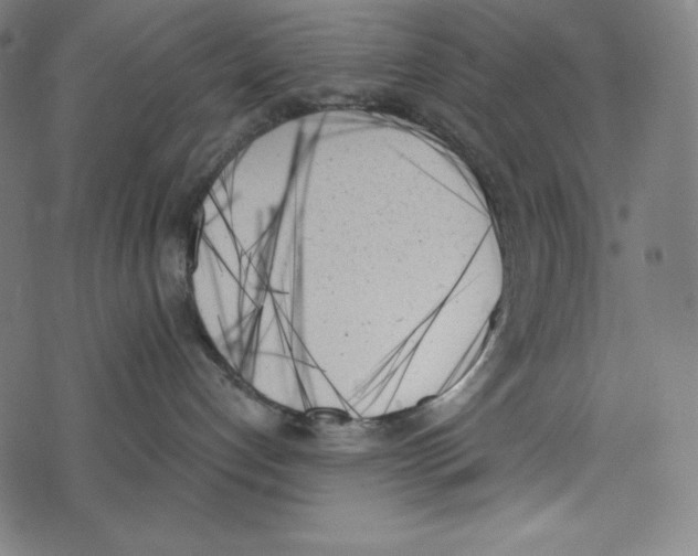 X0000078270192200612011728